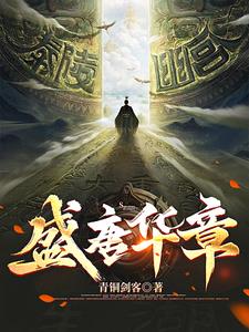 盛唐华彩txt下载