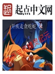 神奇宝贝之精灵纪元第八区
